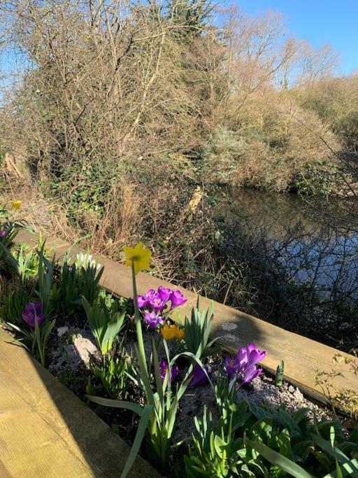 Canal View 2 Bedrooms End Of Terrace Chichester Esterno foto