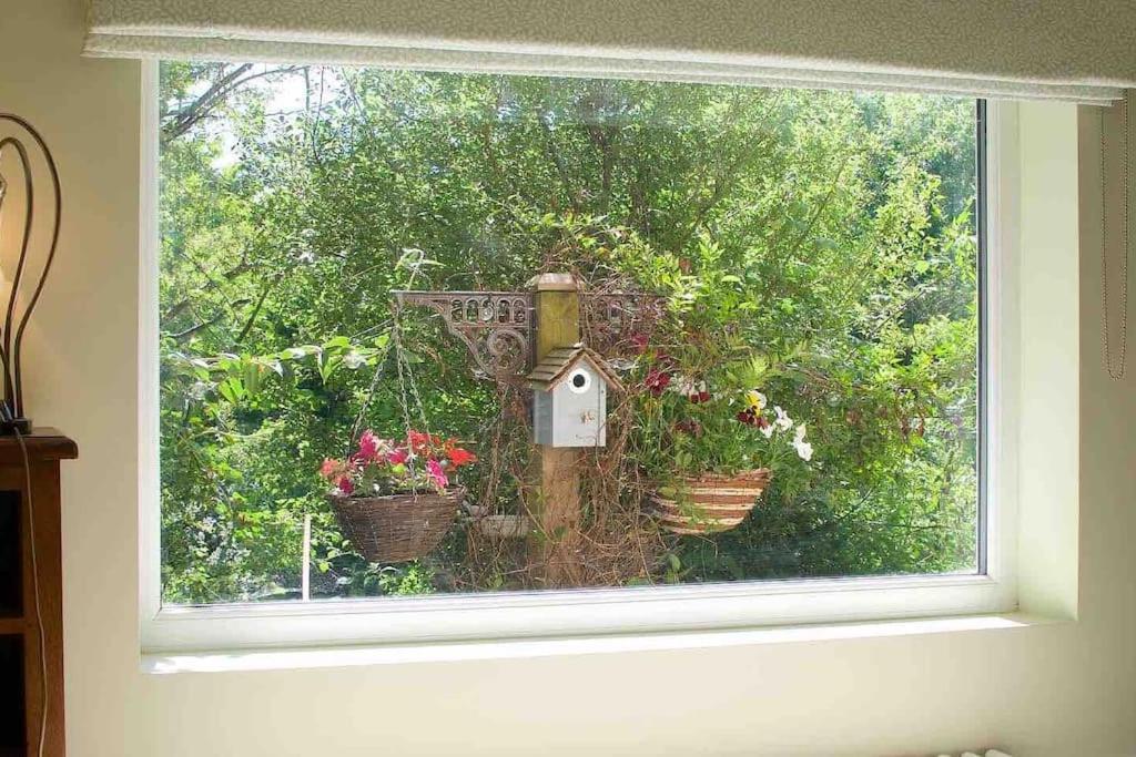 Canal View 2 Bedrooms End Of Terrace Chichester Esterno foto